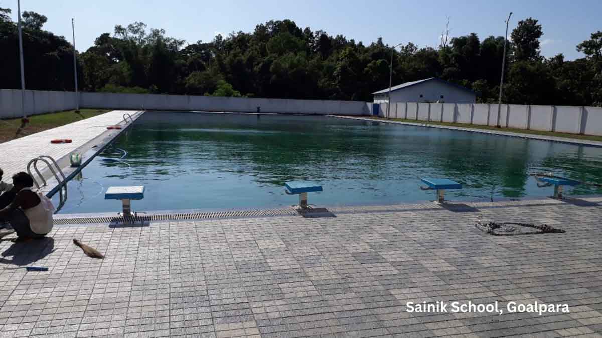Swimming pool filtration system